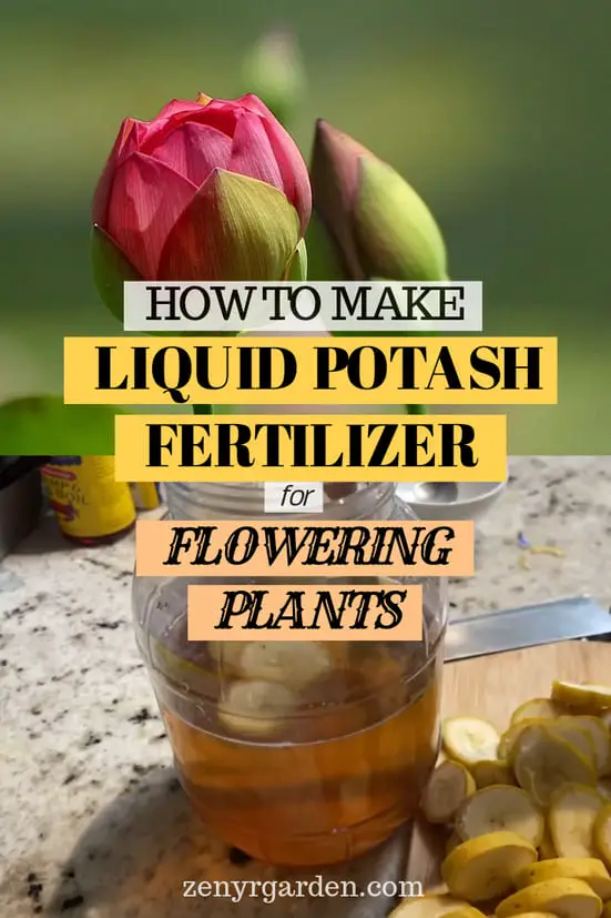Liquid Potash Fertilizer for Flowering Plants How to Make